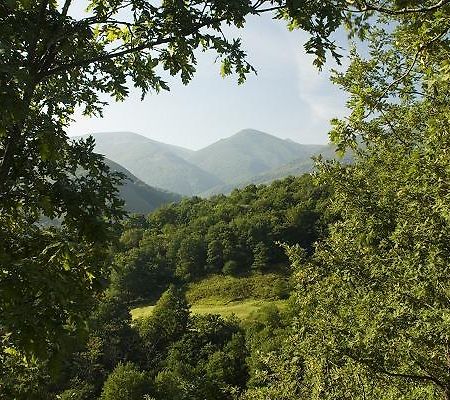 Hostal Casa Lucas Los Tojos Dış mekan fotoğraf